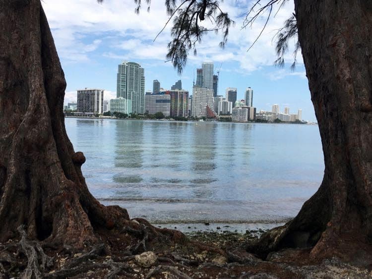Conduites Panoramiques De Miami1