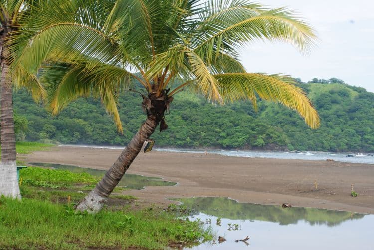 Playas Del Coco Costa Rica – Coco Beach Costa Rica4