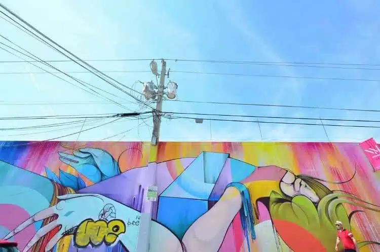 Pareti Di Wynwood