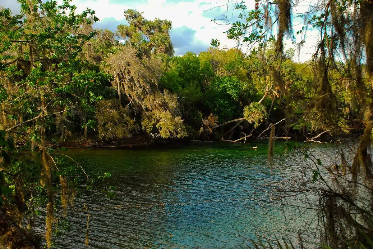 Parco Statale Blue Spring Orlando