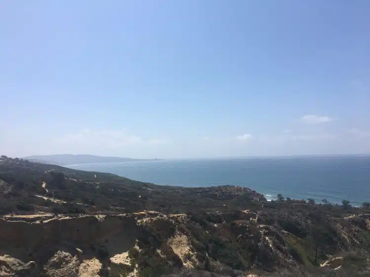 Senderismo En Torrey Pines, San Diego 1