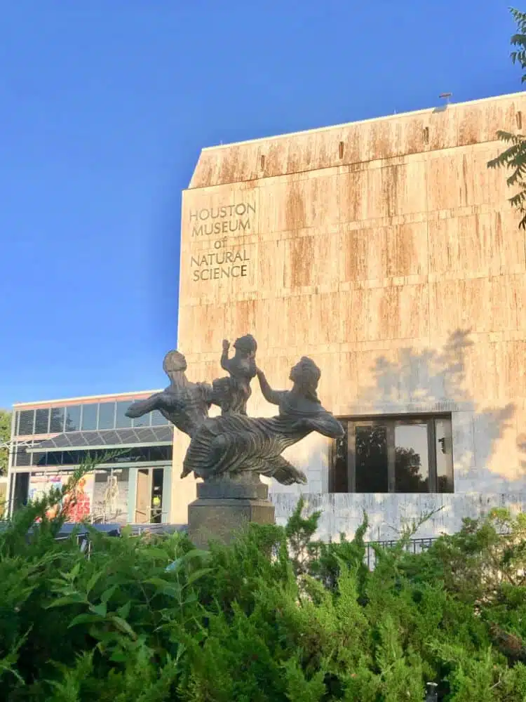 Distrito De Los Museos De Houston2