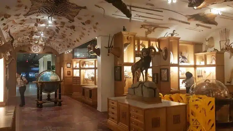 Museo De Ciencias Naturales De Houston (Hmns)2