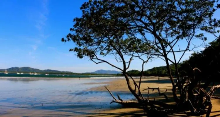Spiaggia Di Tamarindo Al Mattino Presto