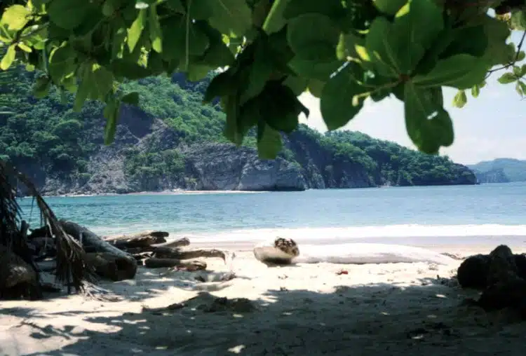 Isla_Tortuga._Costa_Rica