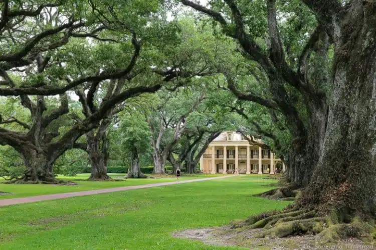 Nueva Orleans-Plantaciones