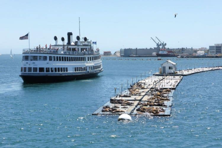 Cruzeiro No Porto De San Diego