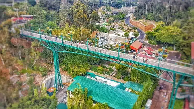 Jardim ZoolóGico De San Diego