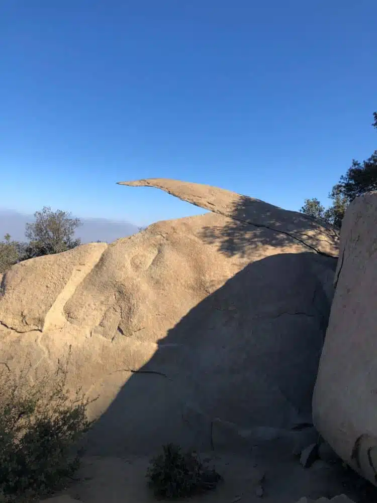 Potatochiprock In San Diego