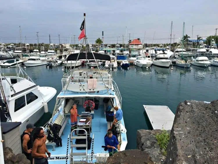 Barco De Buceo Con Manta Raya