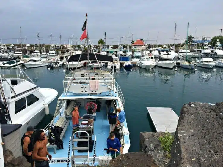 Barca Per Immersioni Con Le Mante