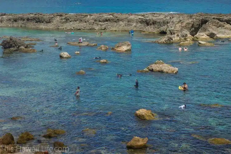 Sharks-Cove-Oahu