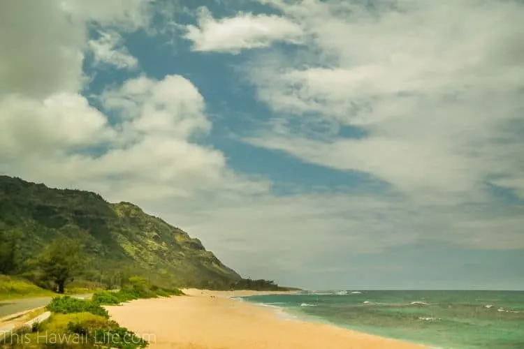 Spiaggia Di Waimea Hawaii