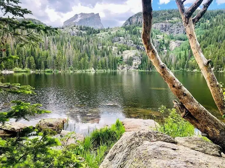 Bear Lake Rmnp 1