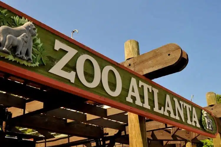 20 Fun Things to do in Atlanta GA 28 zoo atlanta ga
