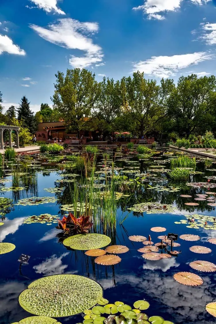 Fun Things to do in Denver Colorado 41 Denver Botanic Garden