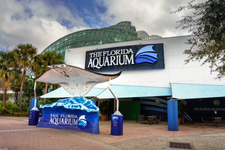Florida Aquarium Tampa