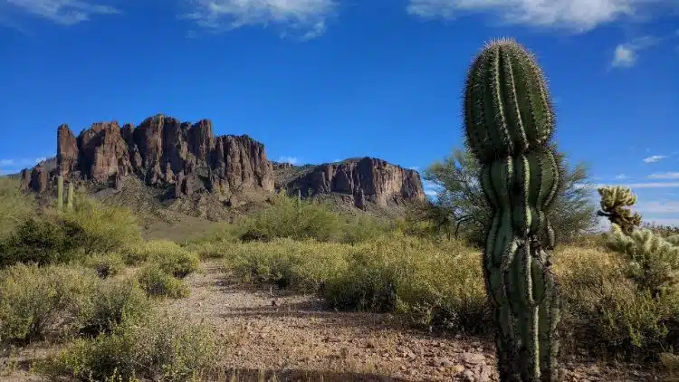 Senderismo En Las MontañAs De La SupersticióN2