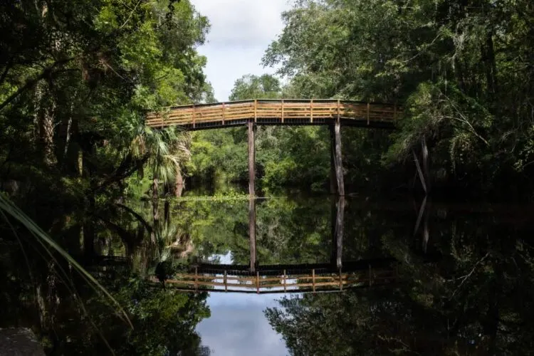 Parc D'ÉTat De La RivièRe Hillsborough