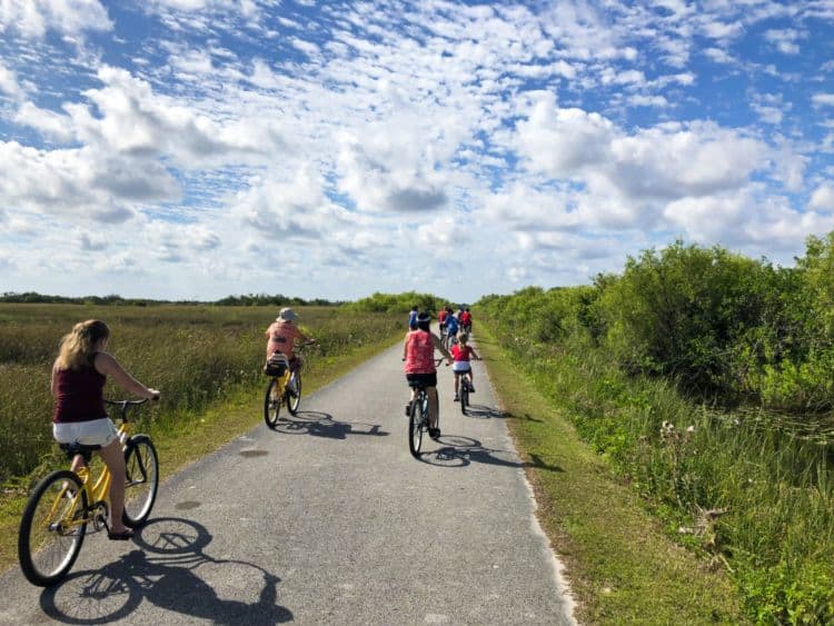 Biking In Shark Valley1