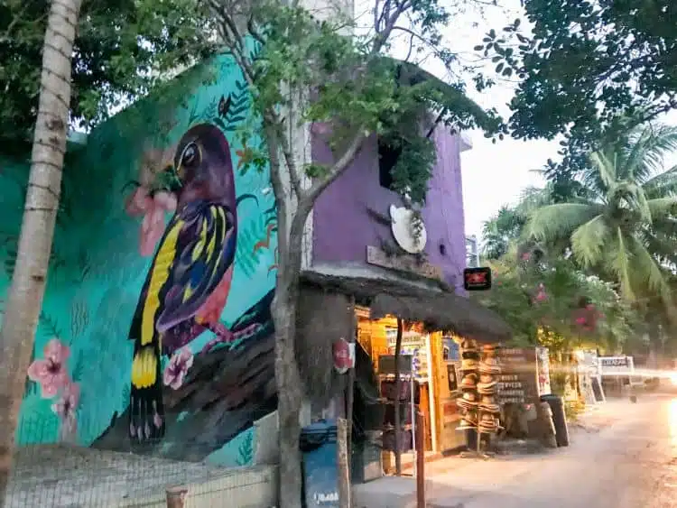 30 Cose Migliori Da Fare A Tulum Messico 17 Convenience_Store_In_Tulum_Next_To_Alaya_Tulum_Hotel_(36386773602)