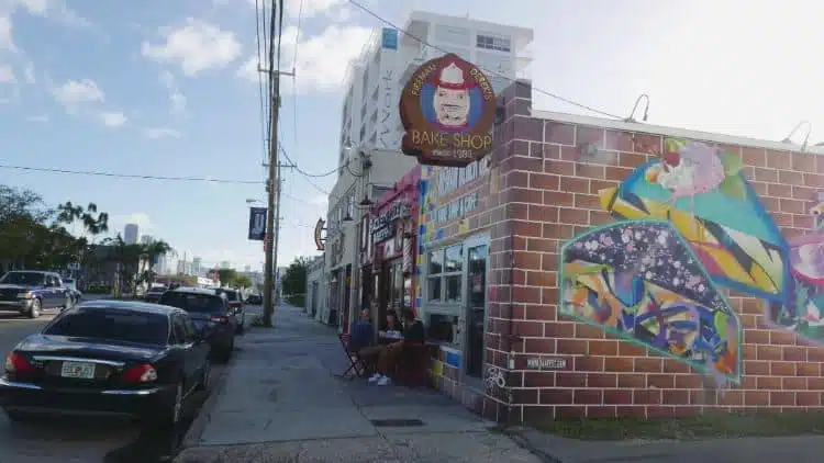 Dag 1 Wynwood En Downtown 3