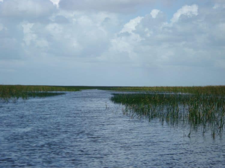 Parque Nacional De Everglades