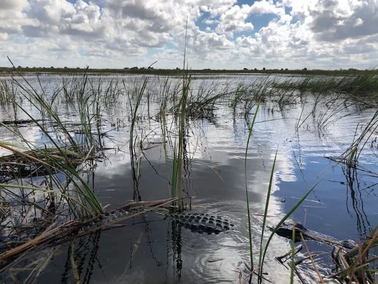 Fort Lauderdale En De Everglades