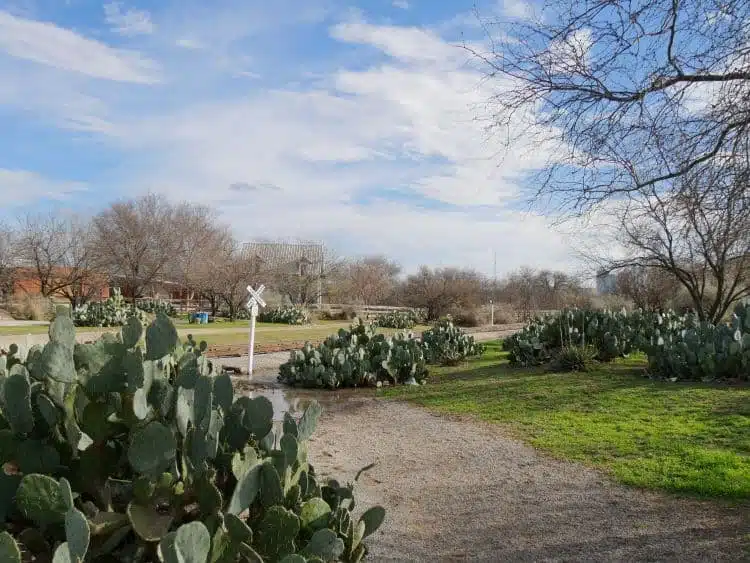 Fort Worth Botanic Garden