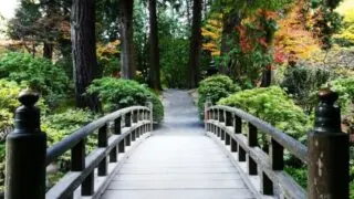 Japanese Garden Bridge
