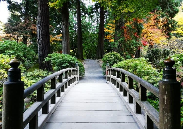 Ponte del giardino giapponese