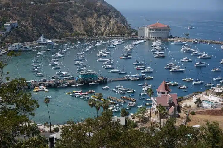 Parasailing Over The Catalina Island