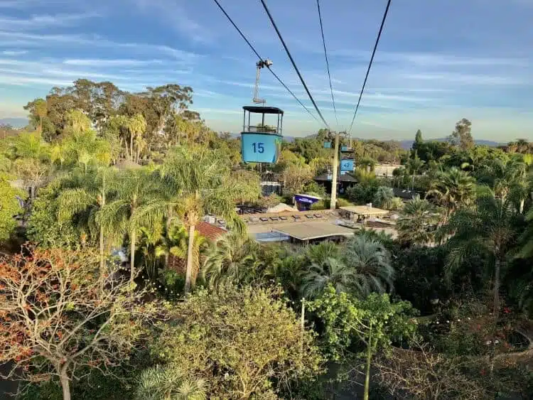 San-Diego-Zoo