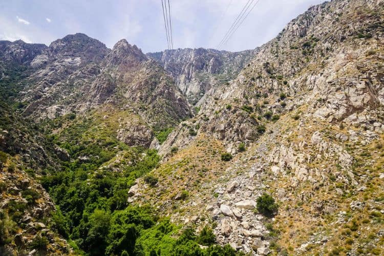 Skyline Trail To Aerial Tramway Top Station