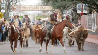 Stockyards in Fort Worth