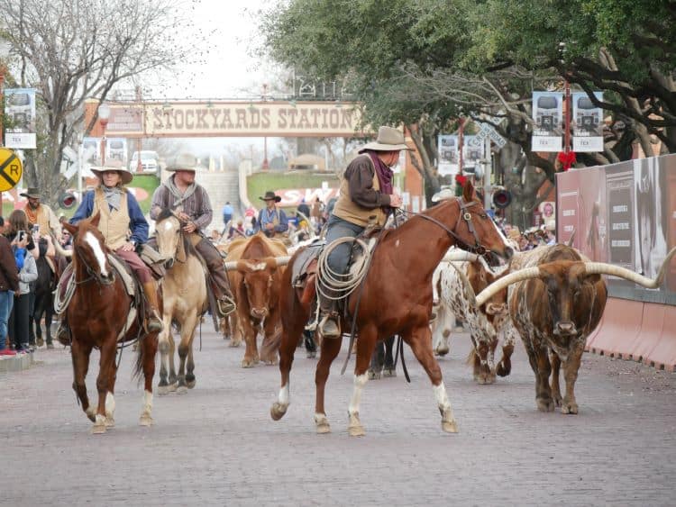 Stockyards In Fort Worth