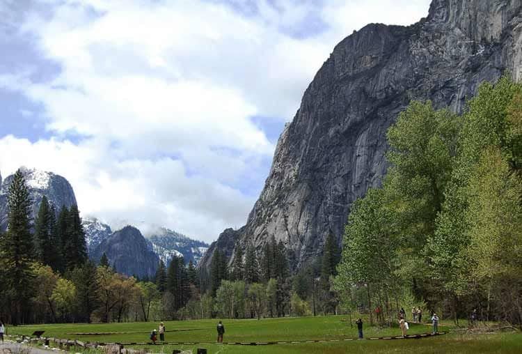 Le Avventure Dell'Orso-Pandalo-Yosemite-National-Park-Valley-750