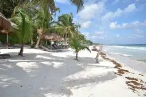 Best Tulum Hotels - Olas Tulum Beach