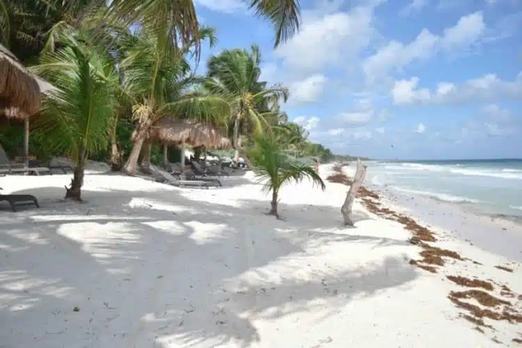 Best Tulum Hotels Olas Tulum Beach