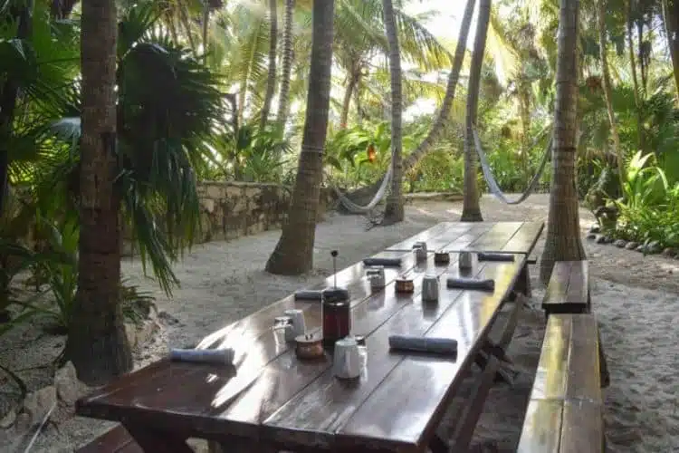 Beste Hotels In Tulum - Olas