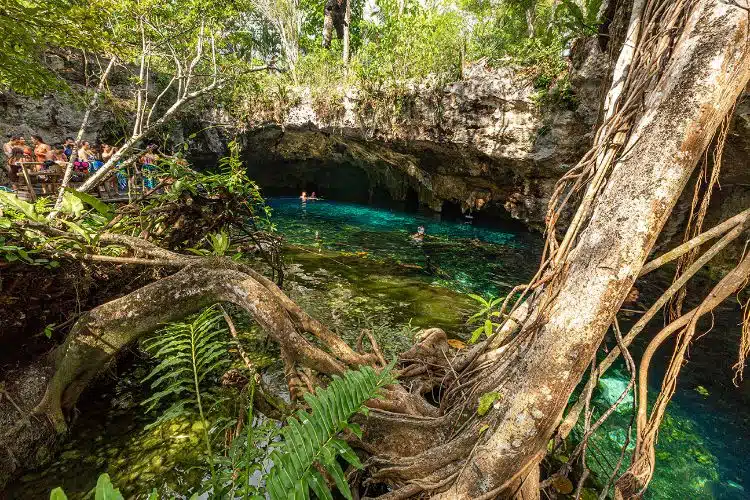 MéXico-Tulum-Gran-Cenote