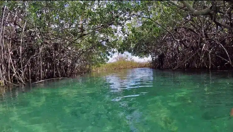 Rio Flutuante Sian Kaan