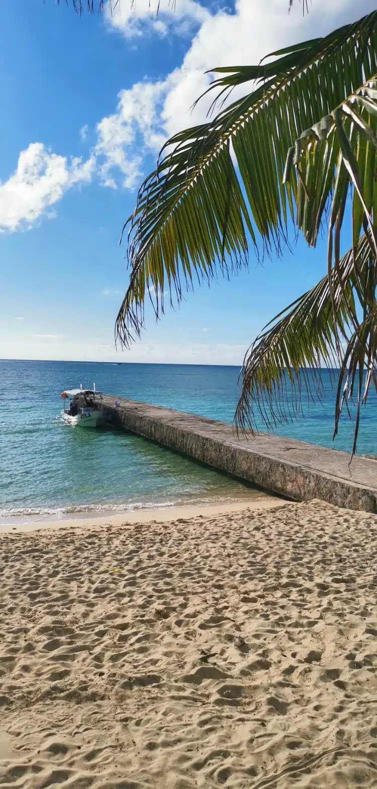 Choses à Faire à Isla Cozumel Mexico
