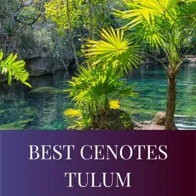 BEST CENOTES TULUM