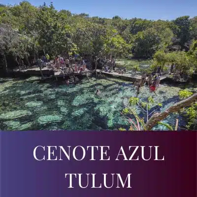 CENOTE AZUL TULUM