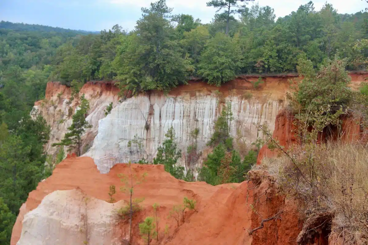 Gite Di Un Giorno Da Atlanta - Parco Statale Di Providence Canyon