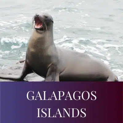 GALAPAGOS ISLANDS