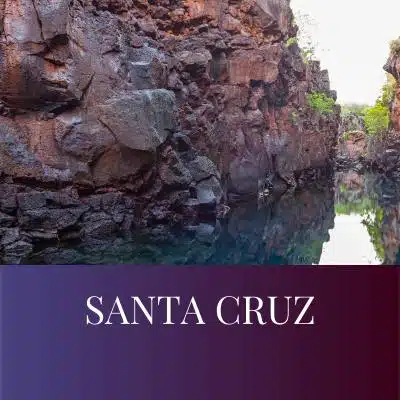 SANTA CRUZ GALAPAGOS ISLANDS