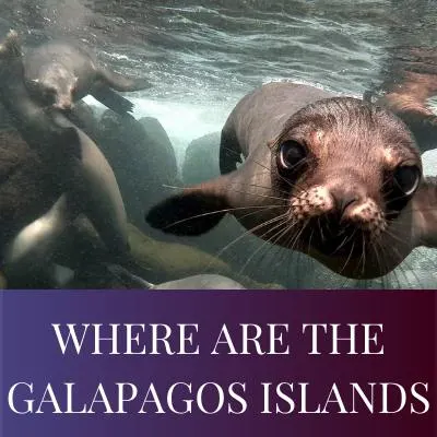 WHERE ARE THE GALAPAGOS ISLANDS