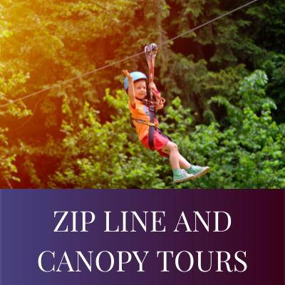 ZIP LINE AND CANOPY TOURS